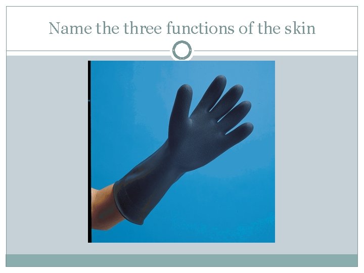 Name three functions of the skin 