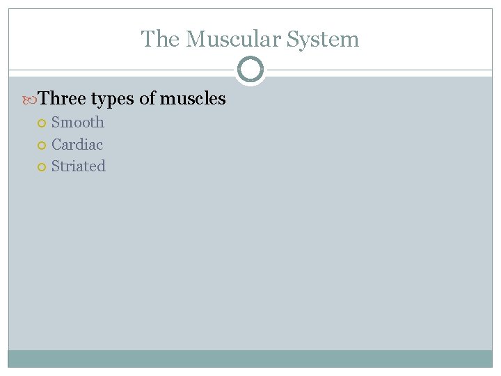 The Muscular System Three types of muscles Smooth Cardiac Striated 