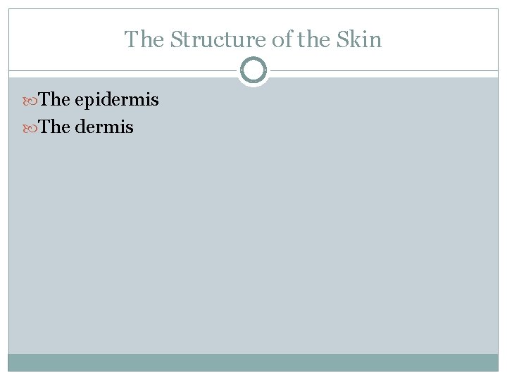 The Structure of the Skin The epidermis The dermis 