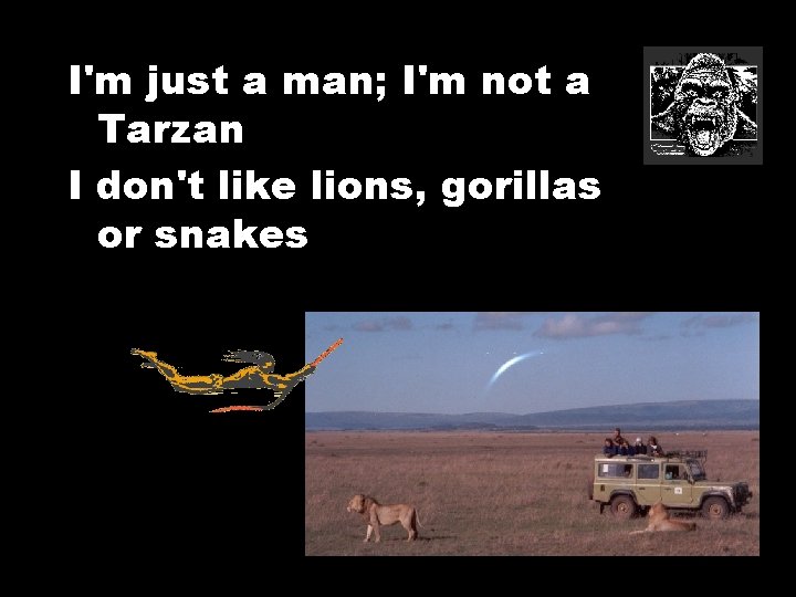 I'm just a man; I'm not a Tarzan I don't like lions, gorillas or