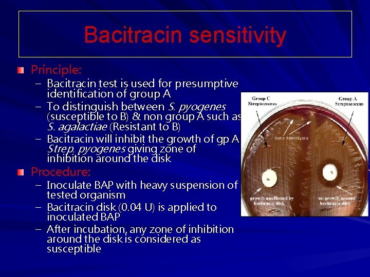 Bacitracin sensitivity Principle: – Bacitracin test is used for presumptive identification of group A Bacitracin sensitivity Principle: – Bacitracin test is used for presumptive identification of group A