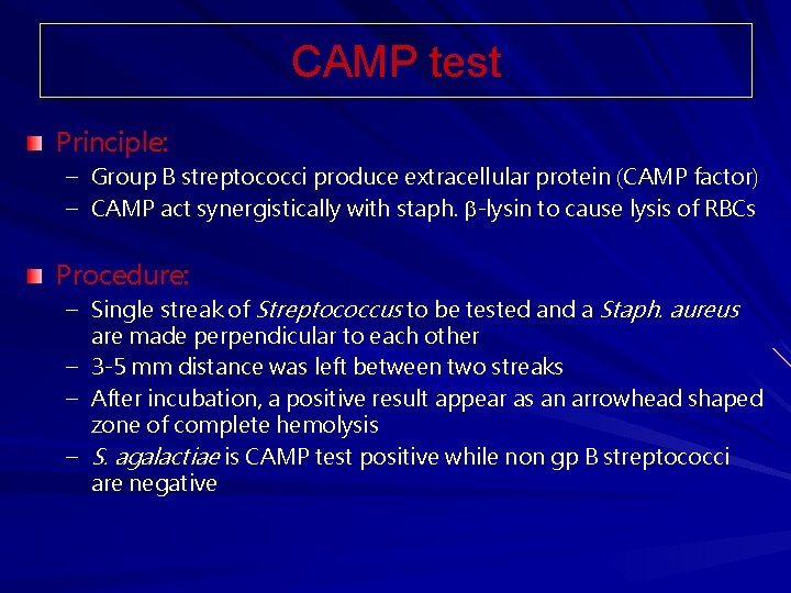 CAMP test Principle: – Group B streptococci produce extracellular protein (CAMP factor) – CAMP