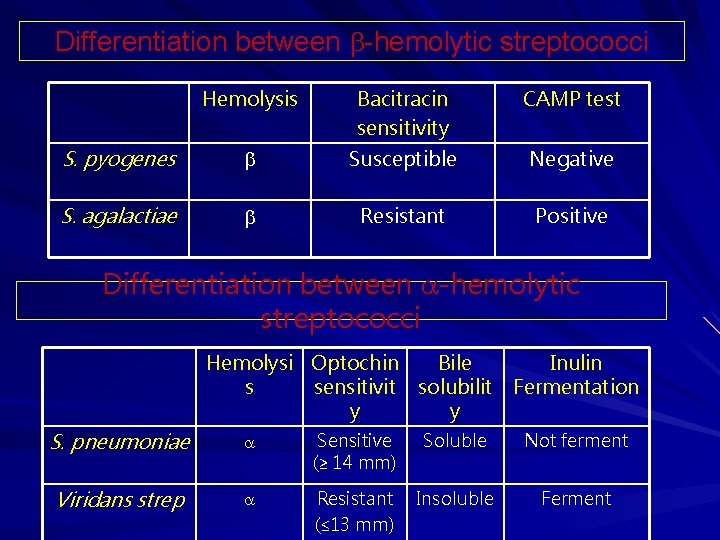 Differentiation between -hemolytic streptococci Hemolysis Bacitracin sensitivity CAMP test S. pyogenes Susceptible Negative S. Differentiation between -hemolytic streptococci Hemolysis Bacitracin sensitivity CAMP test S. pyogenes Susceptible Negative S.