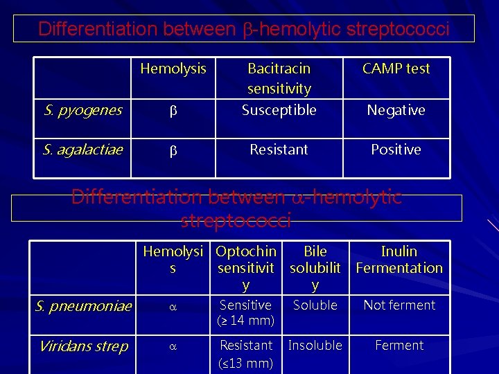 Differentiation between -hemolytic streptococci Hemolysis Bacitracin sensitivity CAMP test S. pyogenes Susceptible Negative S.