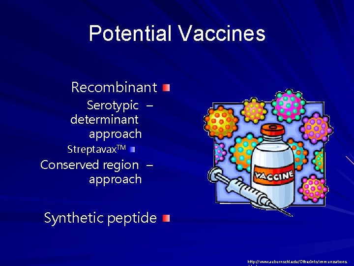 Potential Vaccines Recombinant Serotypic – determinant approach Streptavax. TM Conserved region – approach Synthetic