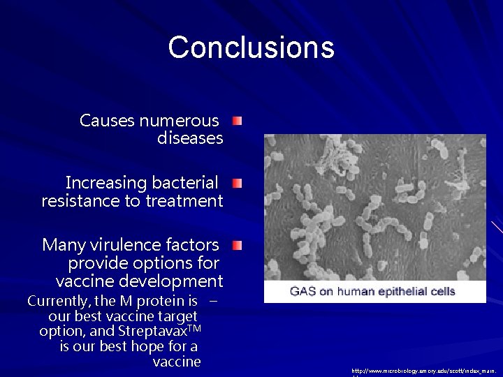Conclusions Causes numerous diseases Increasing bacterial resistance to treatment Many virulence factors provide options Conclusions Causes numerous diseases Increasing bacterial resistance to treatment Many virulence factors provide options