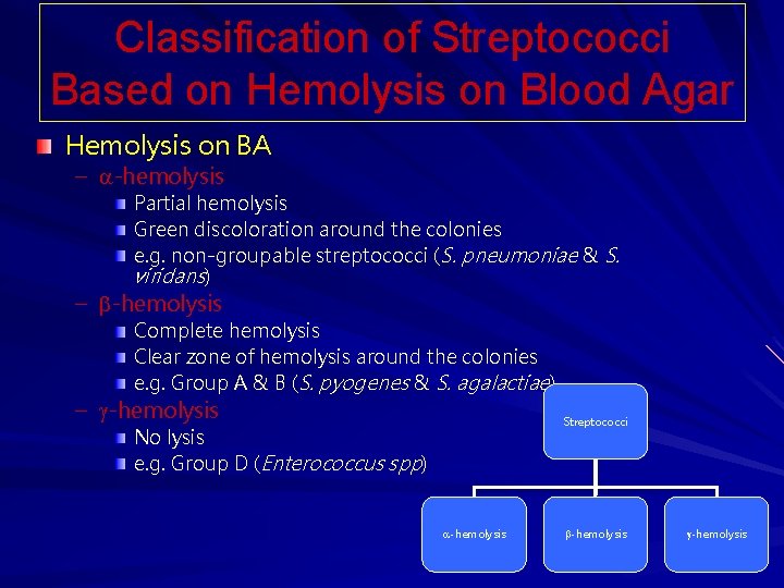 Classification of Streptococci Based on Hemolysis on Blood Agar Hemolysis on BA – -hemolysis