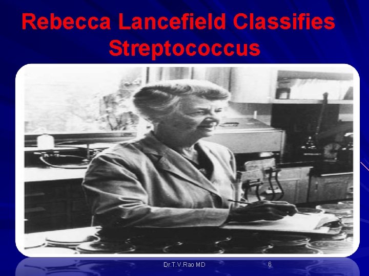 Rebecca Lancefield Classifies Streptococcus Dr. T. V. Rao MD 6 