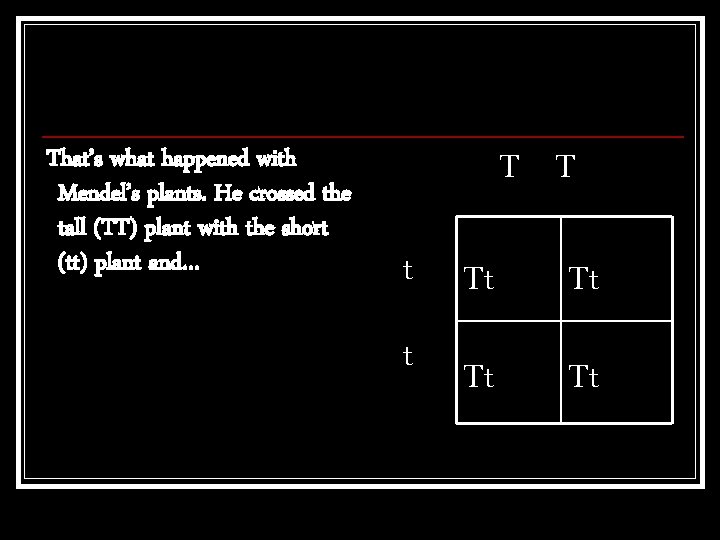 That’s what happened with Mendel’s plants. He crossed the tall (TT) plant with the