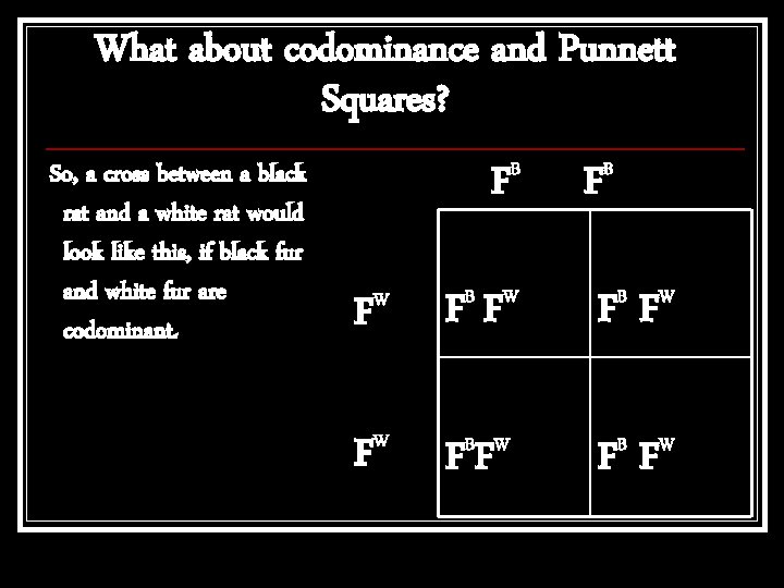 What about codominance and Punnett Squares? So, a cross between a black rat and