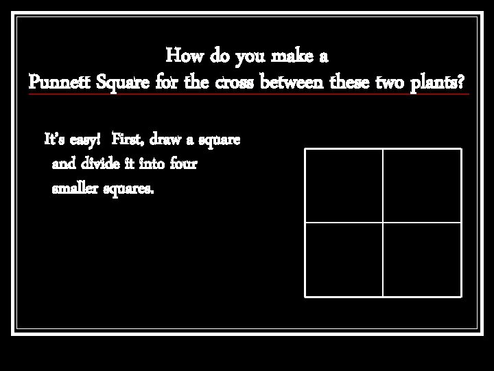 How do you make a Punnett Square for the cross between these two plants?