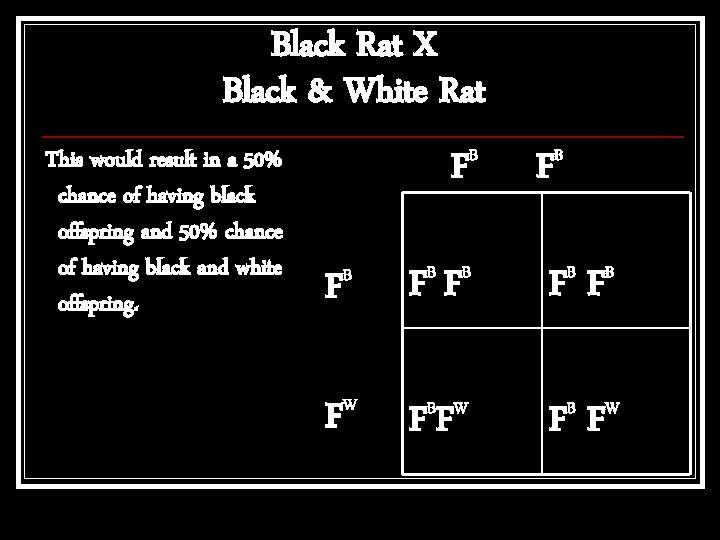 Black Rat X Black & White Rat This would result in a 50% chance