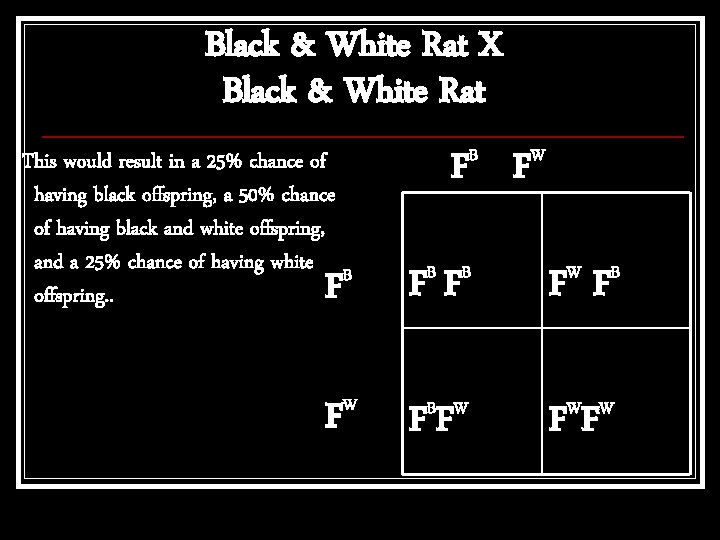 Black & White Rat X Black & White Rat This would result in a