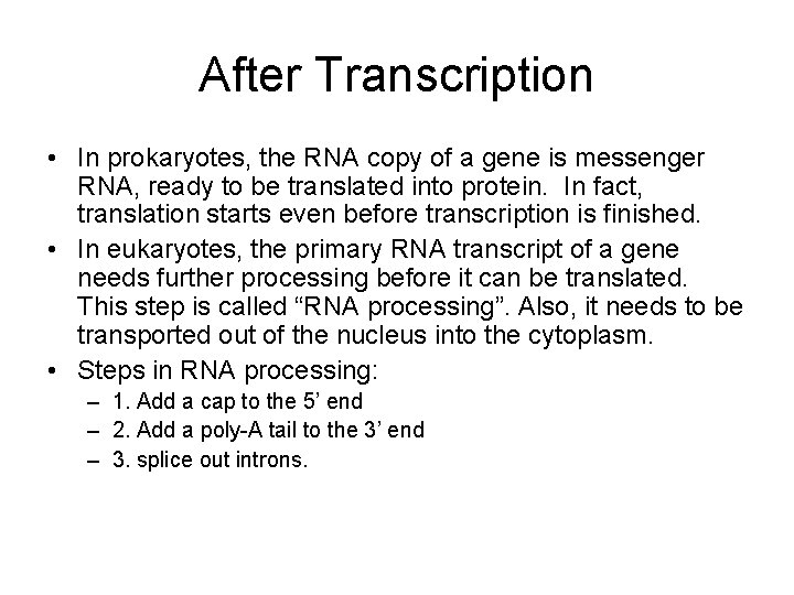 After Transcription • In prokaryotes, the RNA copy of a gene is messenger RNA,