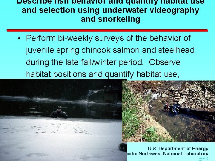 Describe fish behavior and quantify habitat use and selection using underwater videography and snorkeling