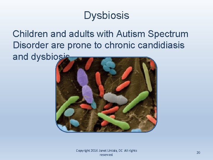 Dysbiosis Children and adults with Autism Spectrum Disorder are prone to chronic candidiasis and