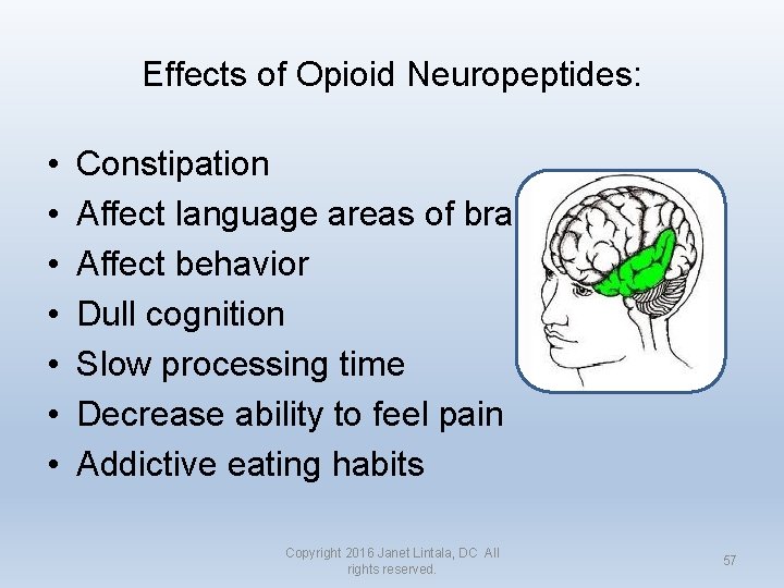 Effects of Opioid Neuropeptides: • • Constipation Affect language areas of brain Affect behavior