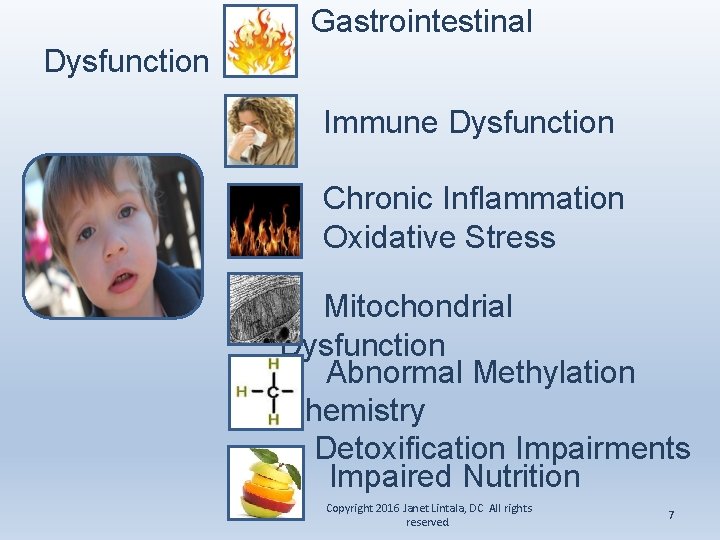 Gastrointestinal Dysfunction Immune Dysfunction Chronic Inflammation Oxidative Stress Mitochondrial Dysfunction Abnormal Methylation Chemistry Detoxification