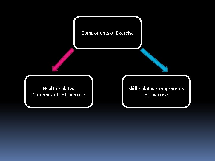 Components of Exercise Health Related Components of Exercise Skill Related Components of Exercise 