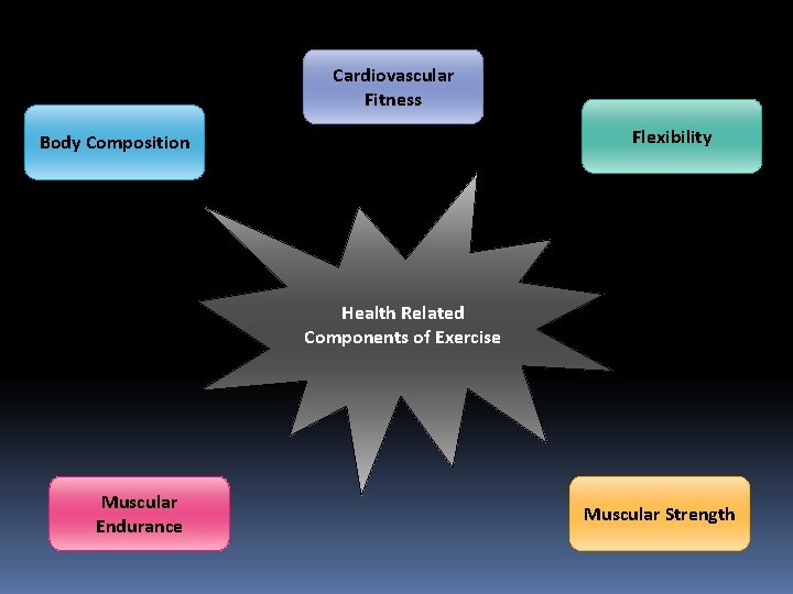 Cardiovascular Fitness Flexibility Body Composition Health Related Components of Exercise Muscular Endurance Muscular Strength