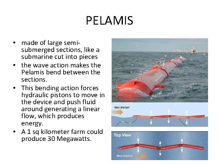 PELAMIS • made of large semisubmerged sections, like a submarine cut into pieces •