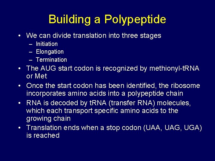 Building a Polypeptide • We can divide translation into three stages – Initiation – Building a Polypeptide • We can divide translation into three stages – Initiation –