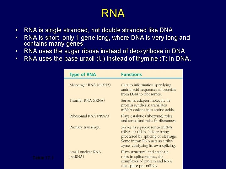 RNA • RNA is single stranded, not double stranded like DNA • RNA is RNA • RNA is single stranded, not double stranded like DNA • RNA is