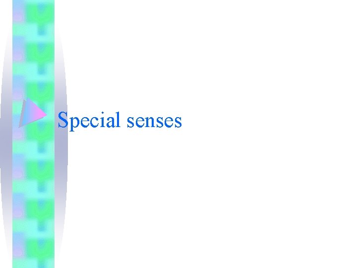 Special senses 