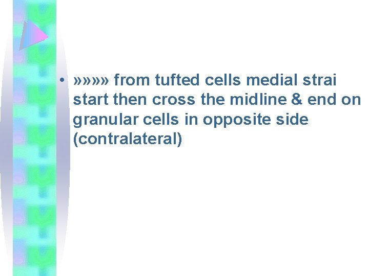  • » » from tufted cells medial strai start then cross the midline