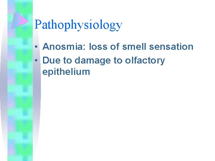 Pathophysiology • Anosmia: loss of smell sensation • Due to damage to olfactory epithelium