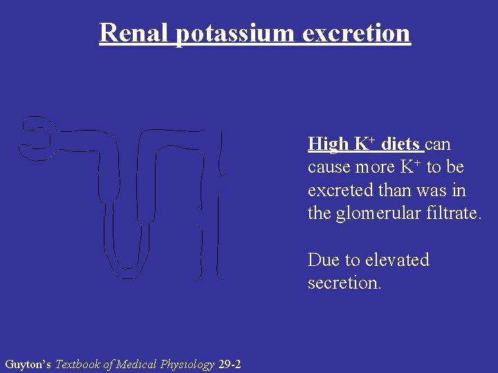 Renal potassium excretion High K+ diets can cause more K+ to be excreted than
