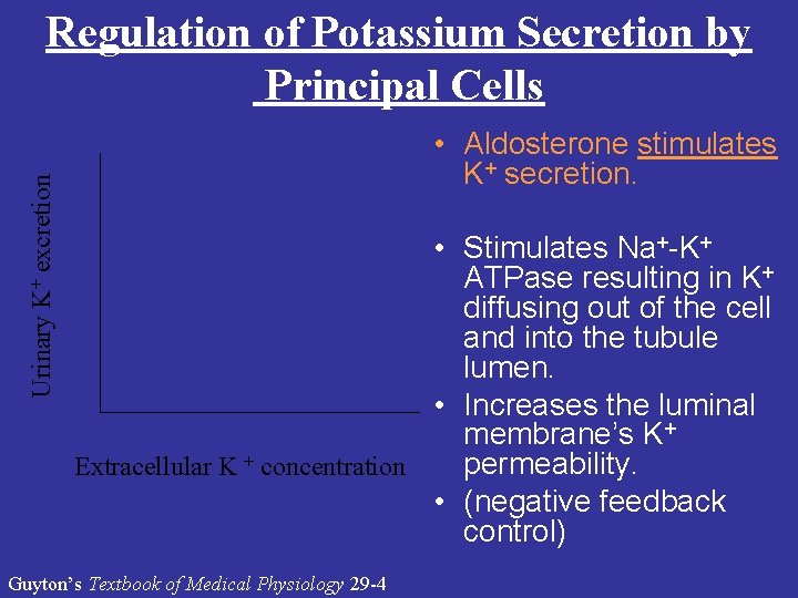 Urinary K+ excretion Regulation of Potassium Secretion by Principal Cells • Aldosterone stimulates K+