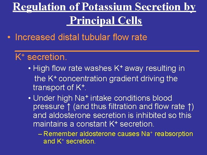 Regulation of Potassium Secretion by Principal Cells • Increased distal tubular flow rate __________________