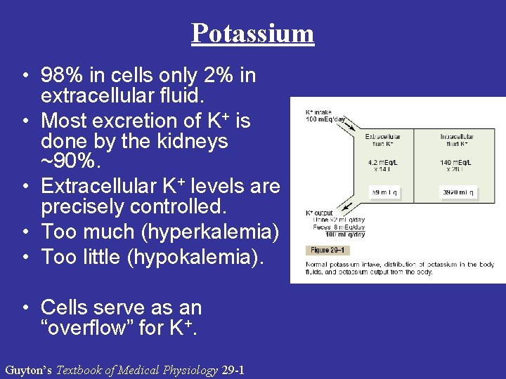 Potassium • 98% in cells only 2% in extracellular fluid. • Most excretion of