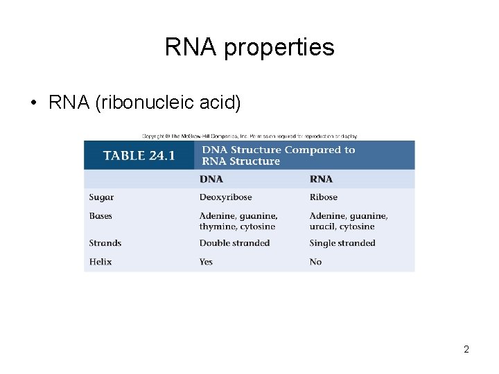 RNA properties • RNA (ribonucleic acid) 2 