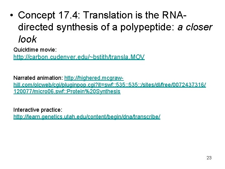  • Concept 17. 4: Translation is the RNAdirected synthesis of a polypeptide: a