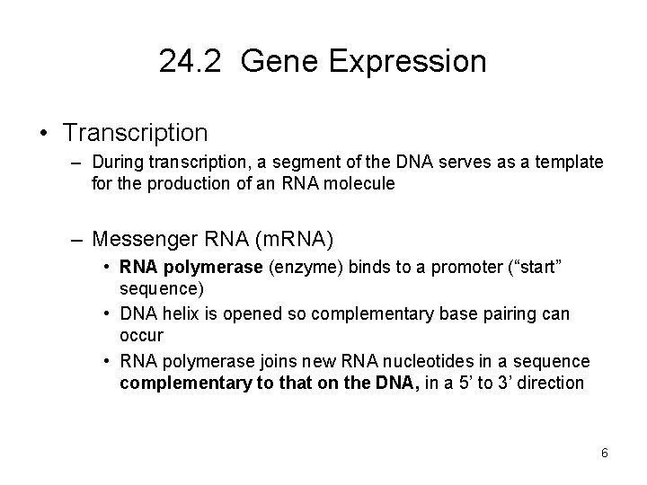 24. 2 Gene Expression • Transcription – During transcription, a segment of the DNA