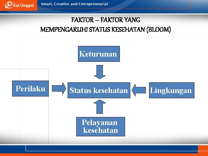 FAKTOR – FAKTOR YANG MEMPENGARUHI STATUS KESEHATAN (BLOOM) Keturunan Perilaku Status kesehatan Pelayanan kesehatan