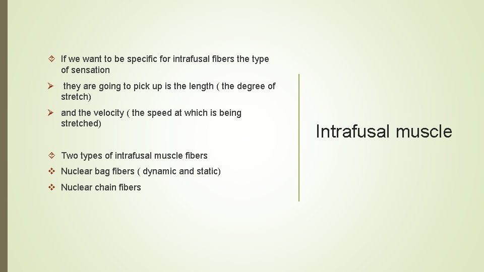  If we want to be specific for intrafusal fibers the type of sensation