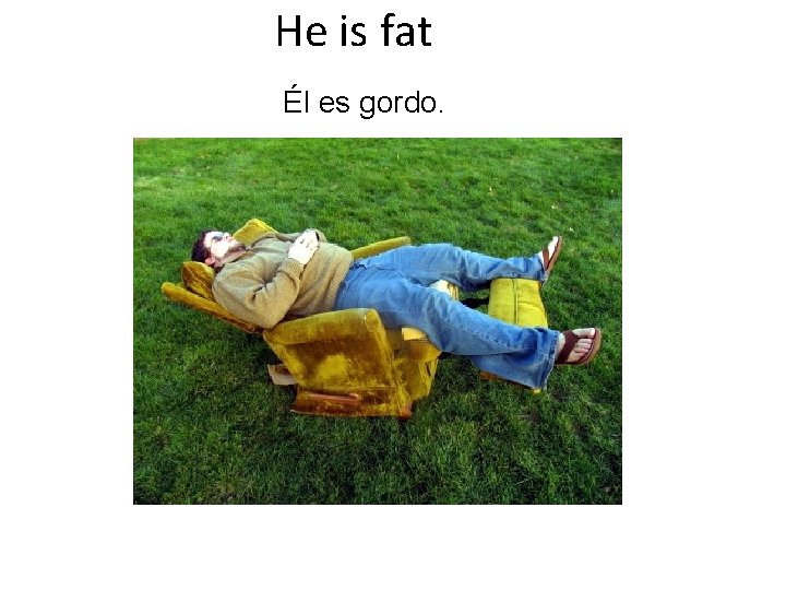 He is fat Él es gordo. 