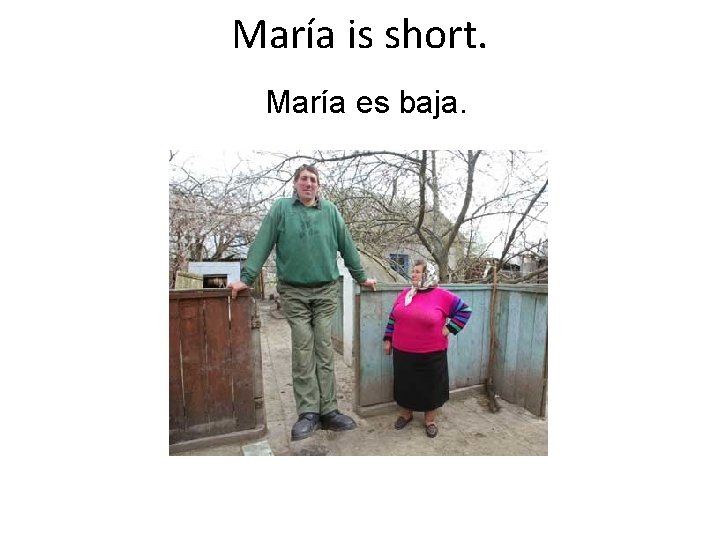 María is short. María es baja. 