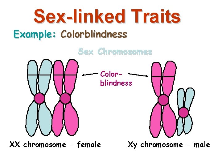 Sex-linked Traits Example: Colorblindness Sex Chromosomes Colorblindness XX chromosome - female Xy chromosome -
