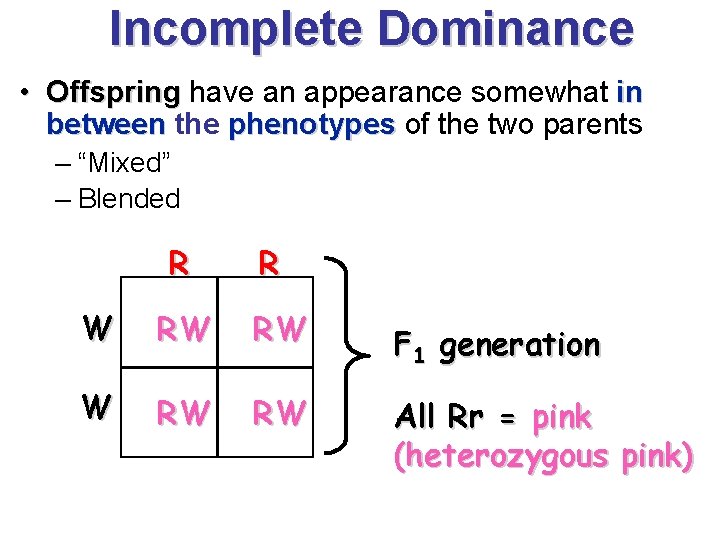 Incomplete Dominance • Offspring have an appearance somewhat in between the phenotypes of the