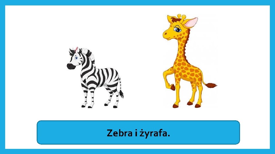 Zebra i żyrafa. 