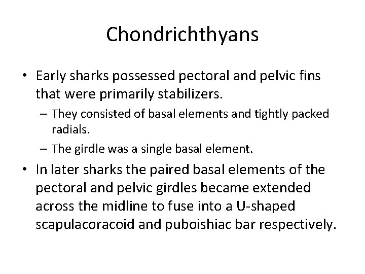 Chondrichthyans • Early sharks possessed pectoral and pelvic fins that were primarily stabilizers. –