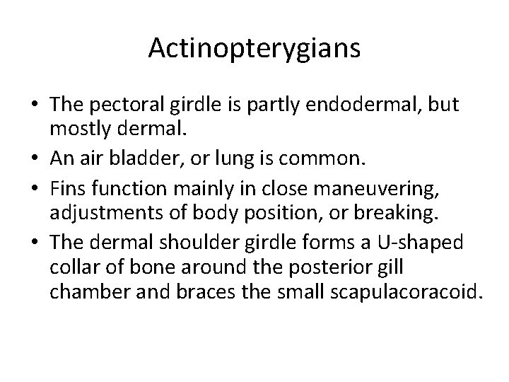 Actinopterygians • The pectoral girdle is partly endodermal, but mostly dermal. • An air