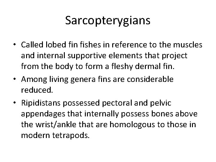 Sarcopterygians • Called lobed fin fishes in reference to the muscles and internal supportive