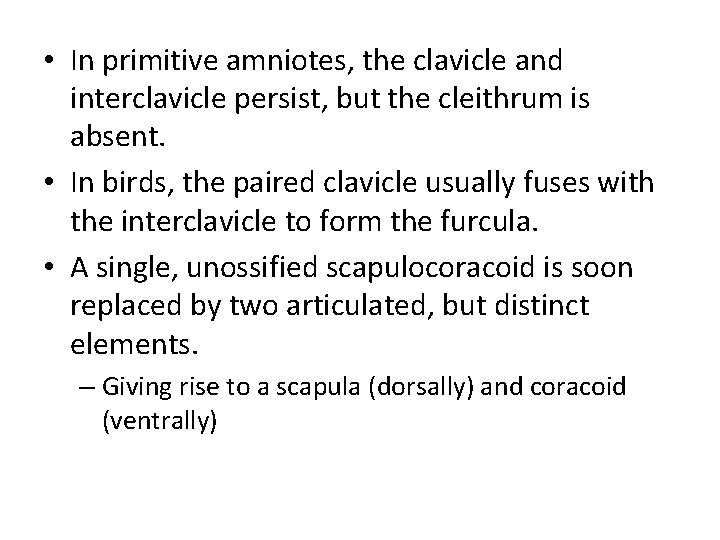  • In primitive amniotes, the clavicle and interclavicle persist, but the cleithrum is