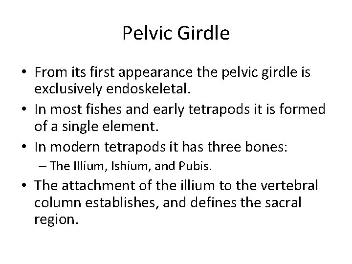 Pelvic Girdle • From its first appearance the pelvic girdle is exclusively endoskeletal. •