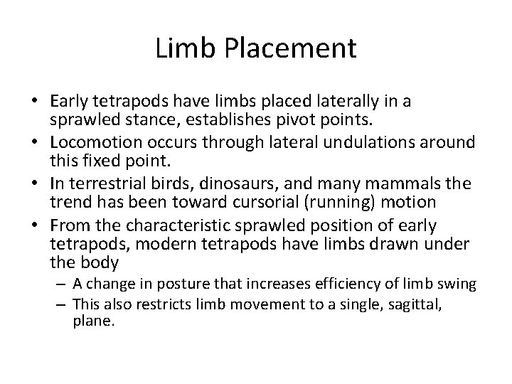 Limb Placement • Early tetrapods have limbs placed laterally in a sprawled stance, establishes